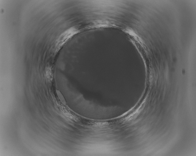X0000088591353200705251138