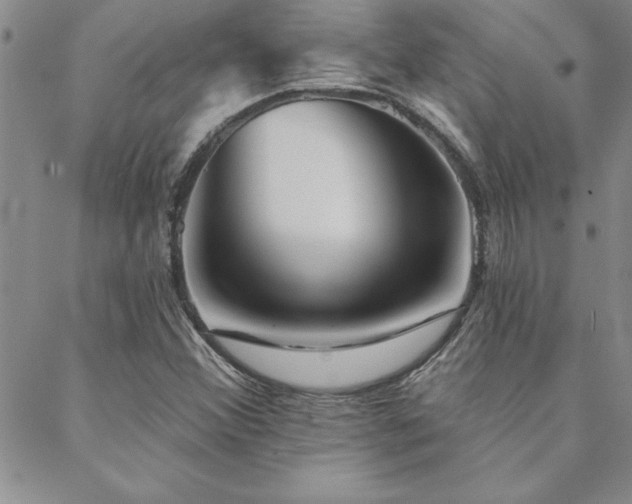 X0000088591356200705251138