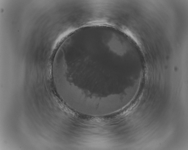 X0000088591358200705251138