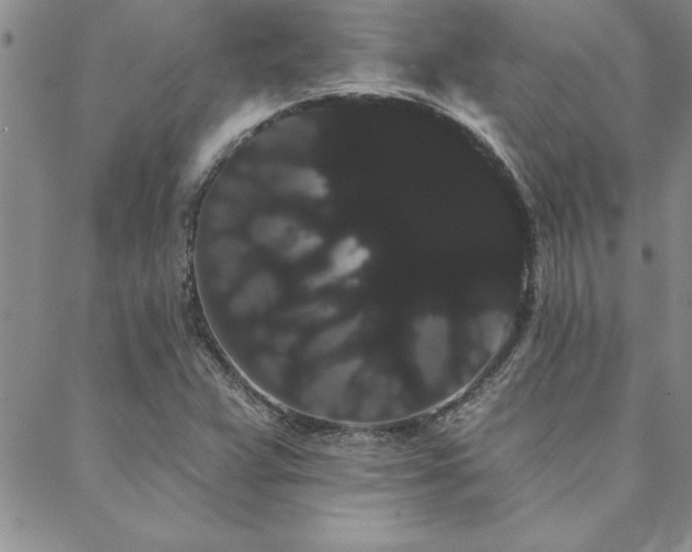 X0000088591359200705251138