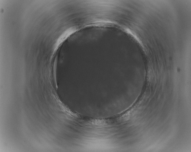 X0000088591362200705251138
