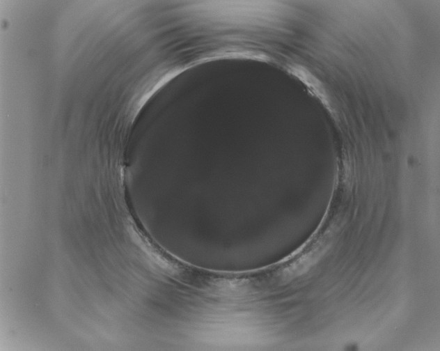 X0000088591369200705251138