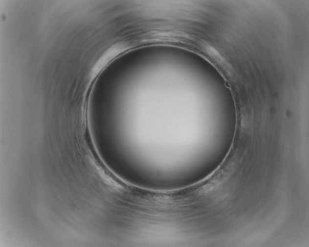 X0000088591370200705251138