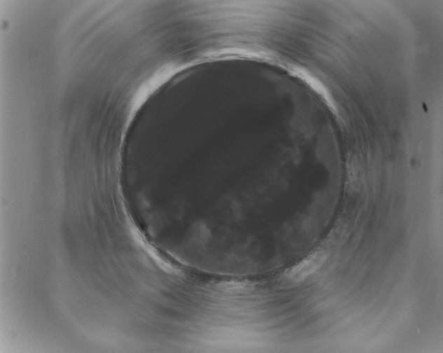 X0000088591373200705251138