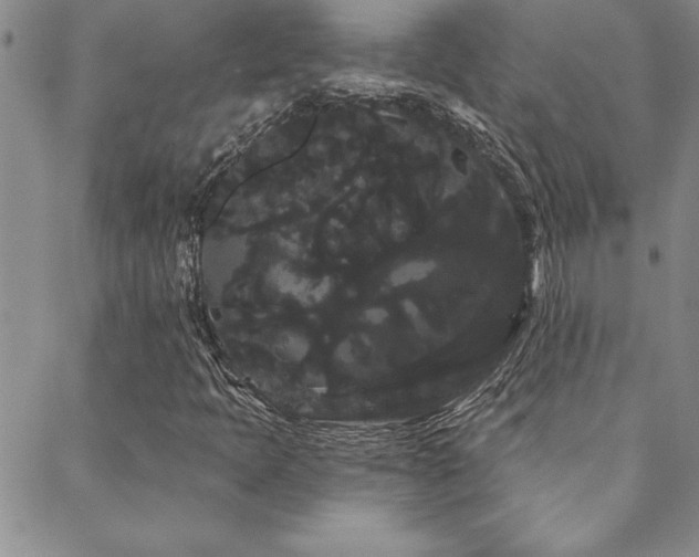 X0000088591397200705251137