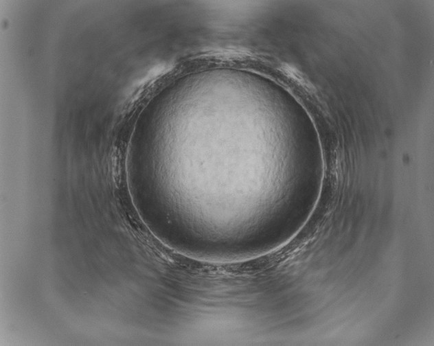 X0000088591398200705251137