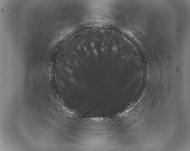 X0000088591399200705251137