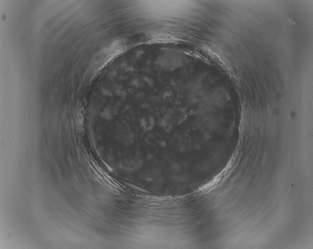 X0000088591401200705251137