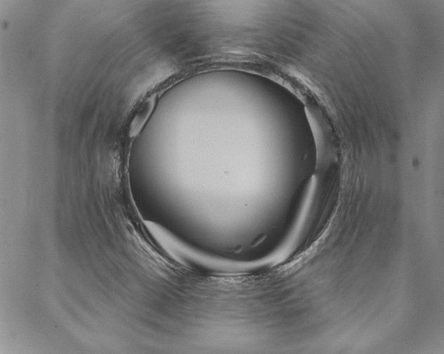 X0000088591402200705251137