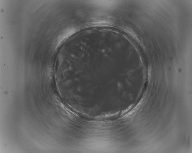 X0000088591405200705251137