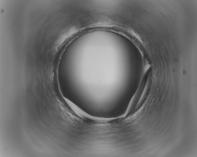 X0000088591406200705251137