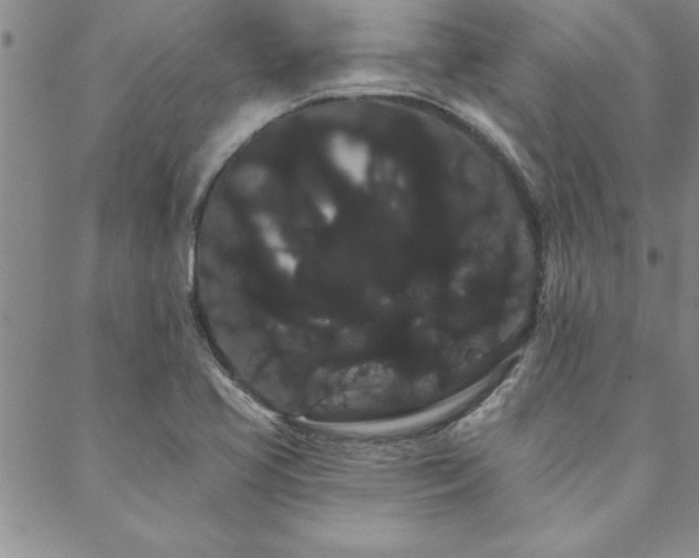 X0000088591413200705251137