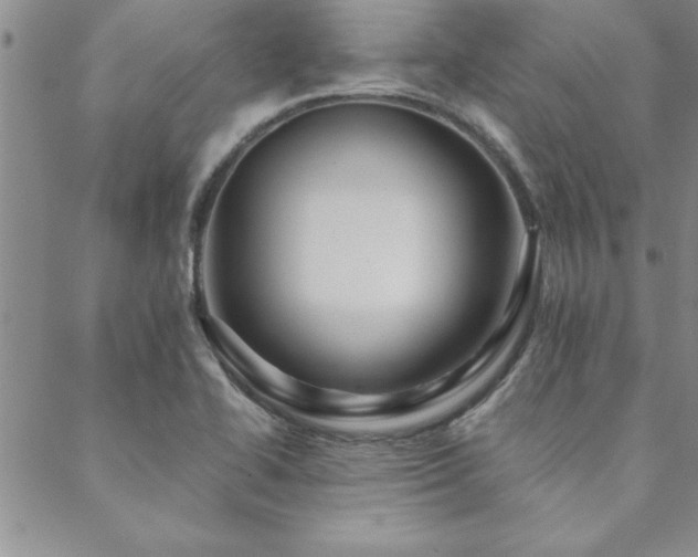 X0000088591414200705251137