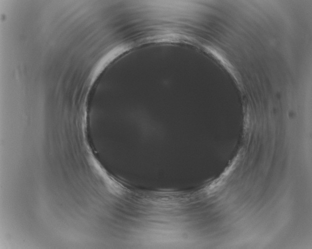 X0000088591418200705251137