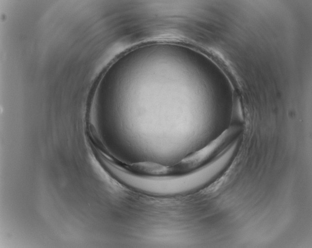X0000088591422200705251138