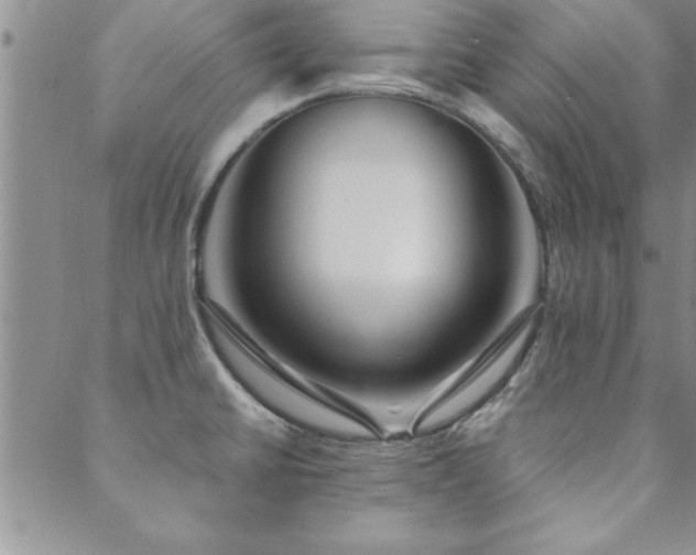 X0000088591430200705251138