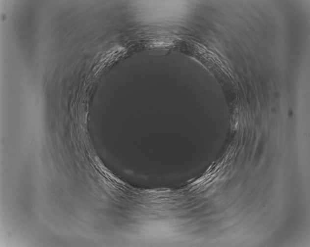 X0000088591441200705251137