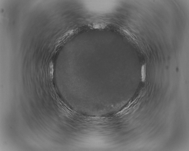X0000088591443200705251137