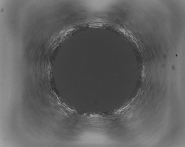 X0000088591445200705251137