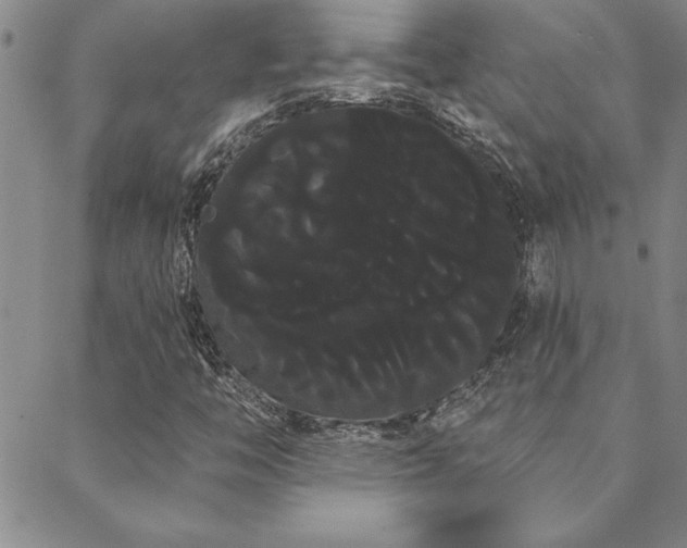 X0000088591446200705251137
