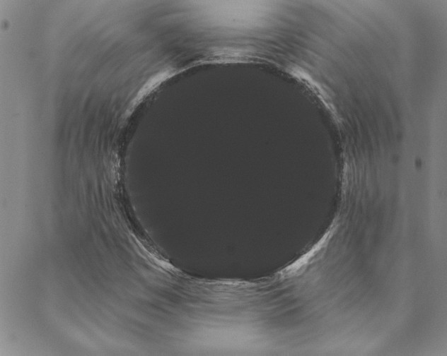 X0000088591449200705251137