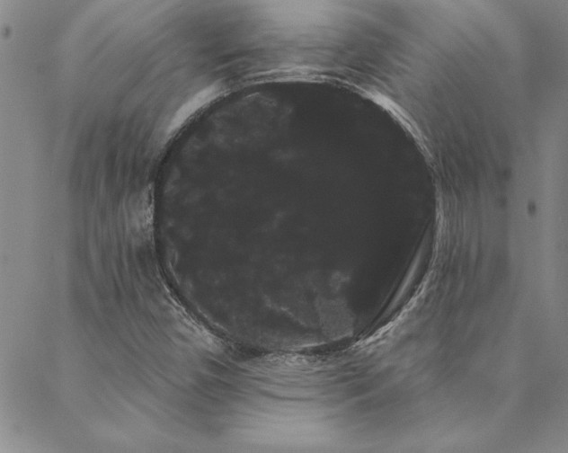 X0000088591450200705251137