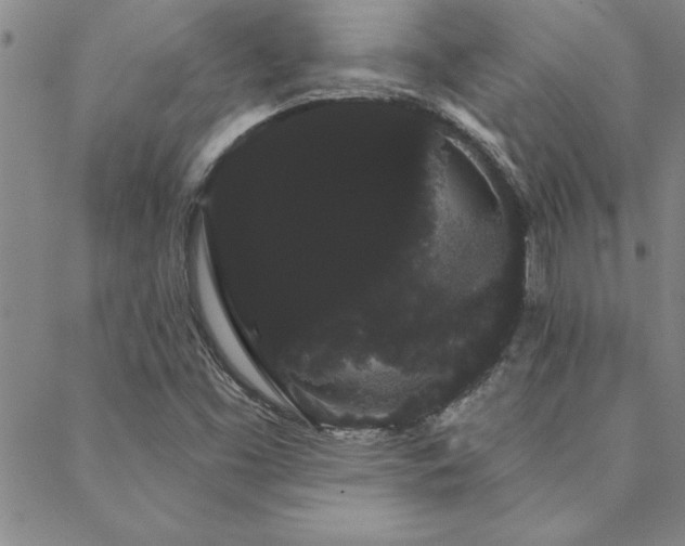 X0000088591453200705251137