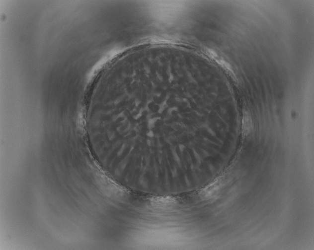 X0000088591454200705251137