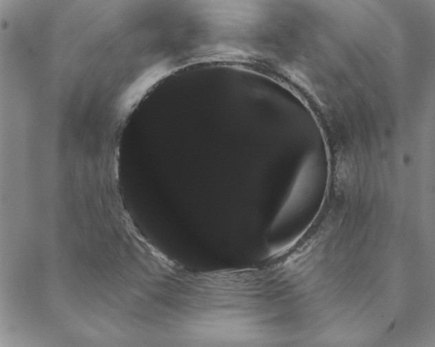 X0000088591455200705251137