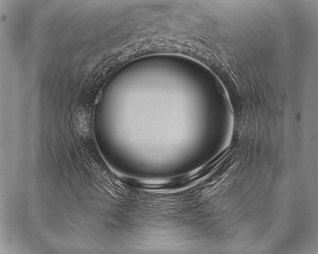 X0000088591490200705251135