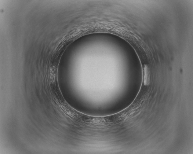 X0000088591491200705251136