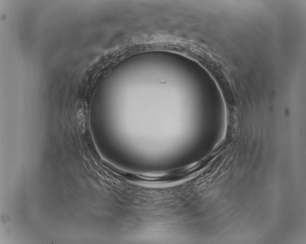 X0000088591493200705251136