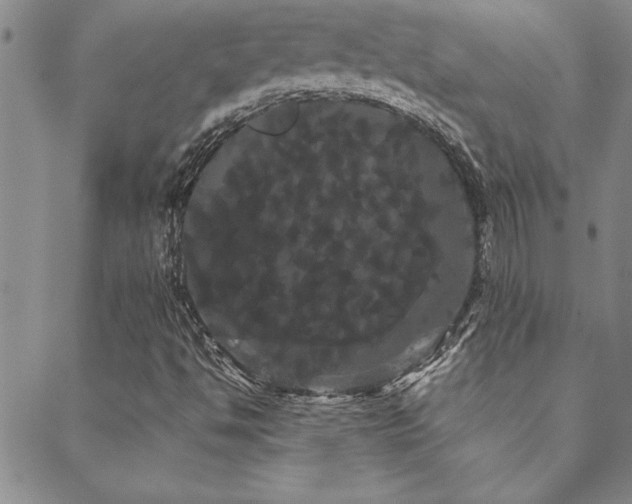X0000088591494200705251136