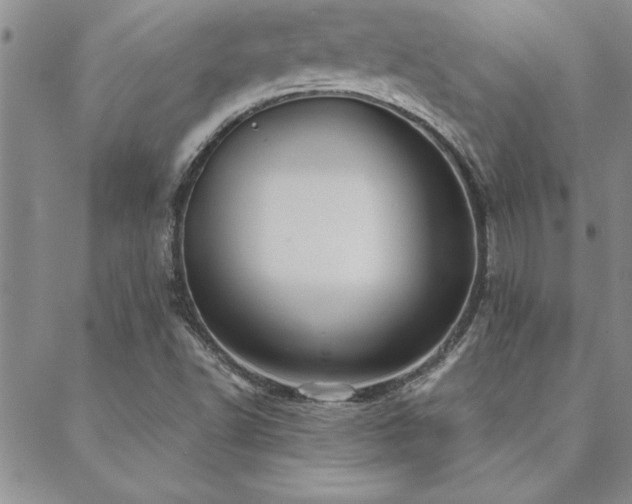 X0000088591502200705251136