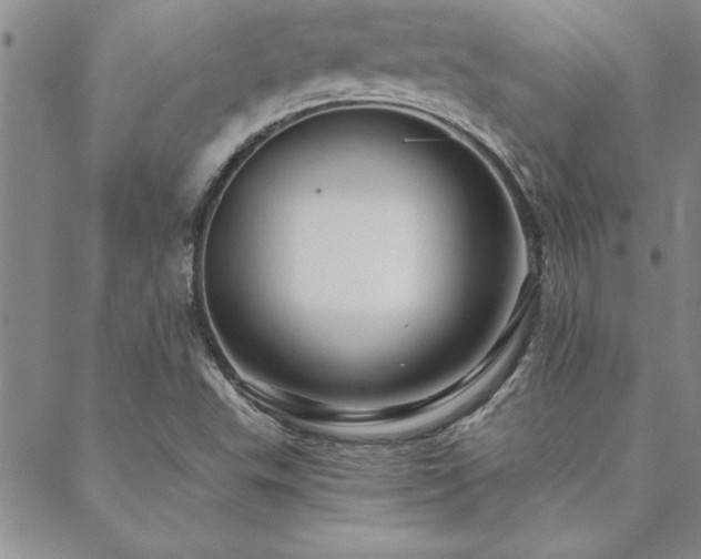 X0000088591503200705251136