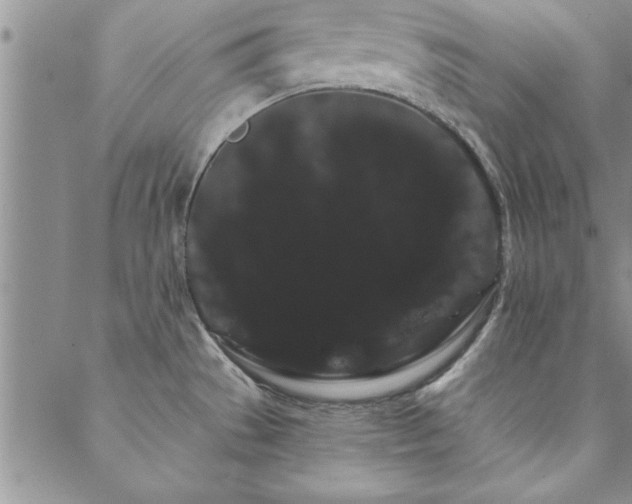 X0000088591529200705251136