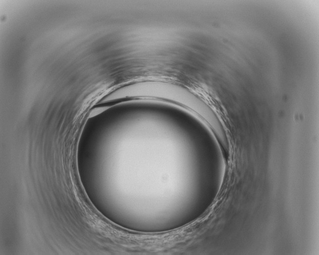 X0000088590001200706011149