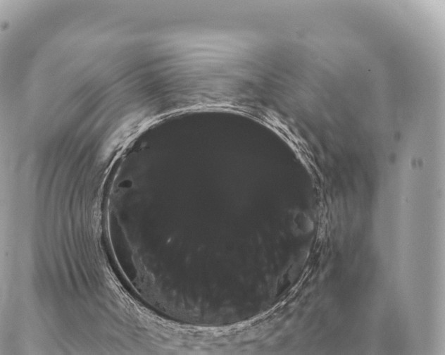 X0000088590002200706011149