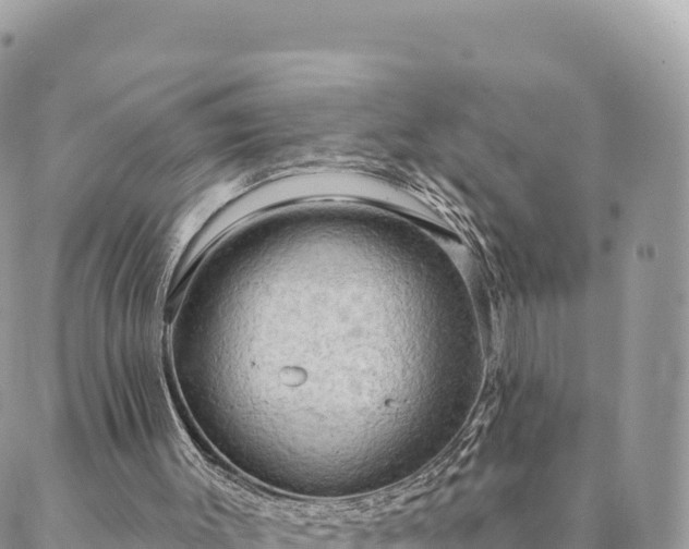 X0000088590003200706011149