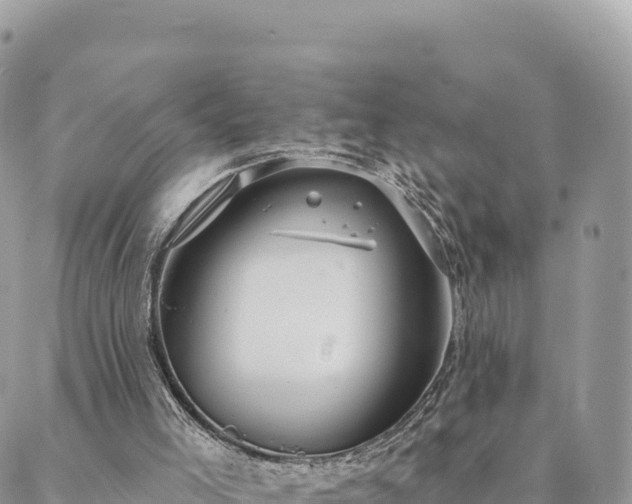 X0000088590005200706011149