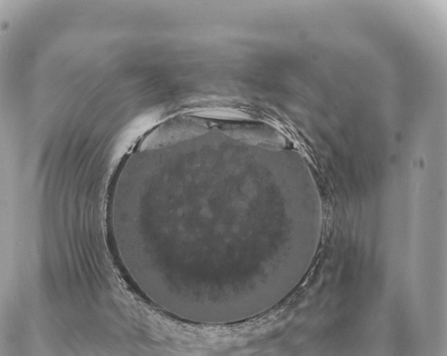 X0000088590006200706011149