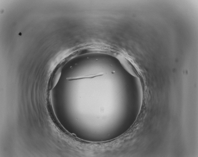 X0000088590007200706011149