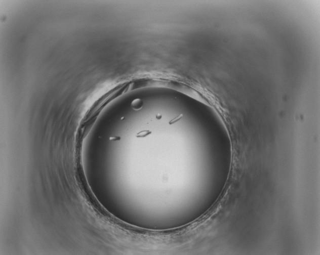 X0000088590008200706011149