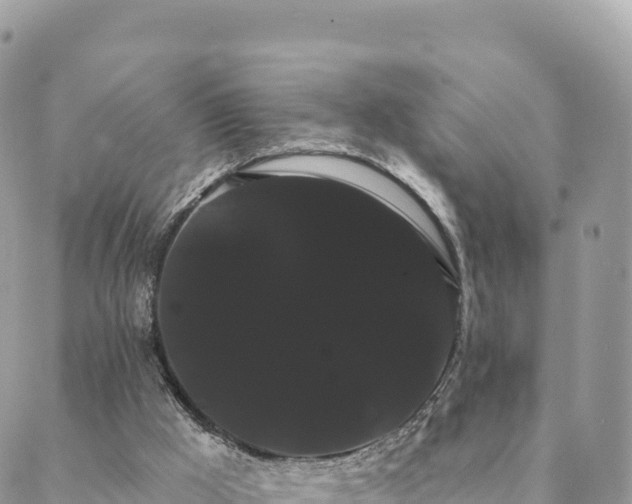 X0000088590009200706011149