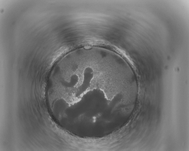 X0000088590010200706011149