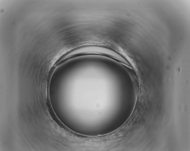 X0000088590011200706011149