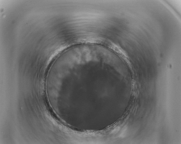 X0000088590012200706011149