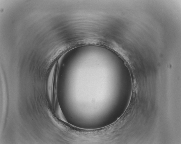 X0000088590013200706011149