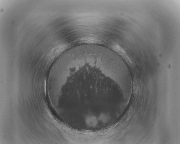 X0000088590014200706011149