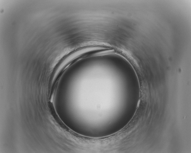 X0000088590015200706011149